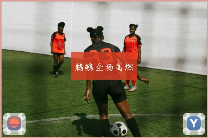 鹈鹕全场高燃