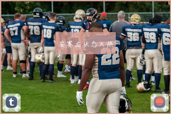 安赛龙状态火热
