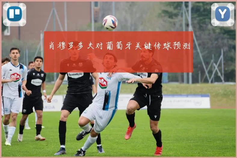肖穆罗多夫对葡萄牙关键传球预测