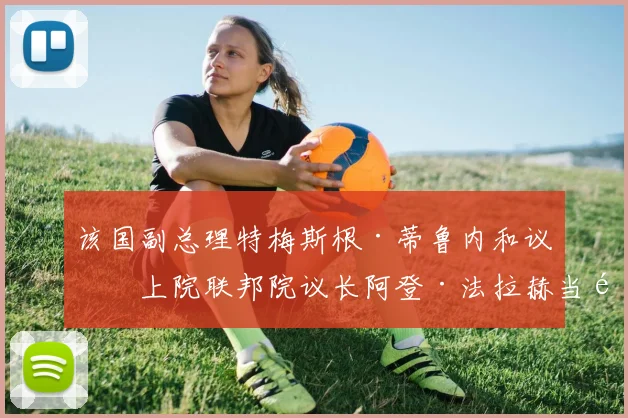 该国副总理特梅斯根·蒂鲁内和议会上院联邦院议长阿登·法拉赫当选为副主席