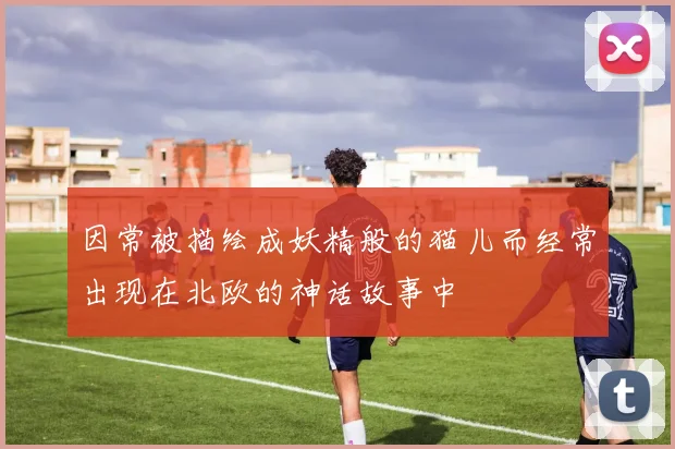 因常被描绘成妖精般的猫儿而经常出现在北欧的神话故事中