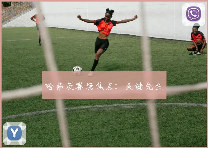哈弗茨赛场焦点：关键先生