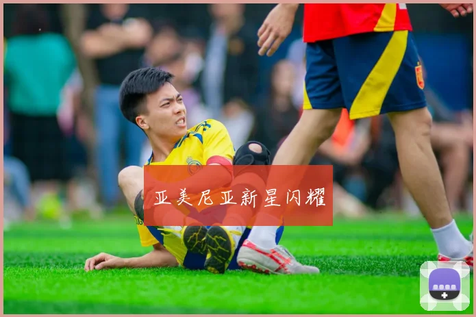 亚美尼亚新星闪耀