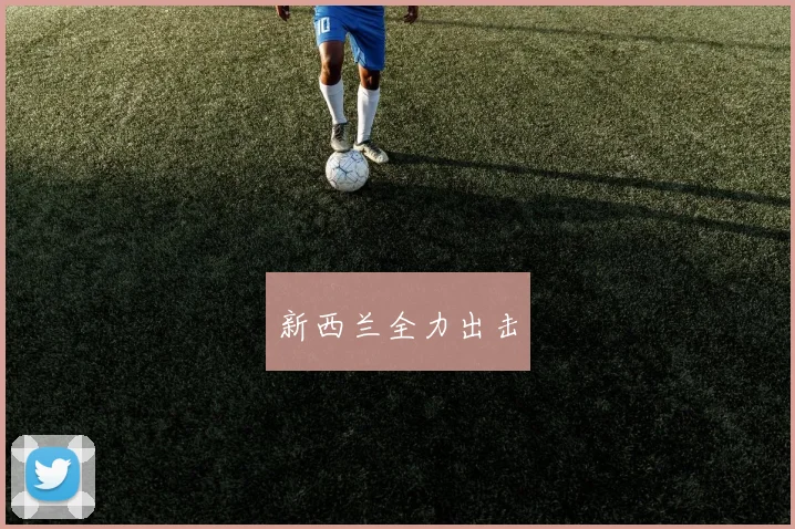 新西兰全力出击