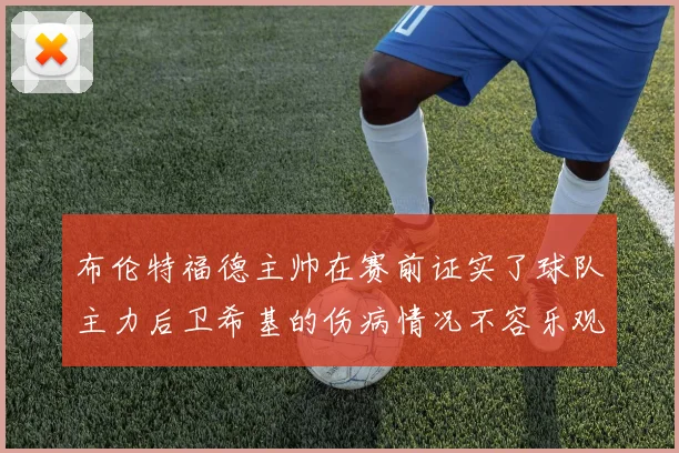 布伦特福德主帅在赛前证实了球队主力后卫希基的伤病情况不容乐观