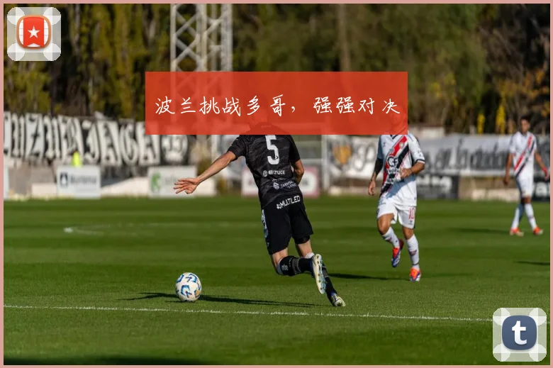 波兰挑战多哥，强强对决