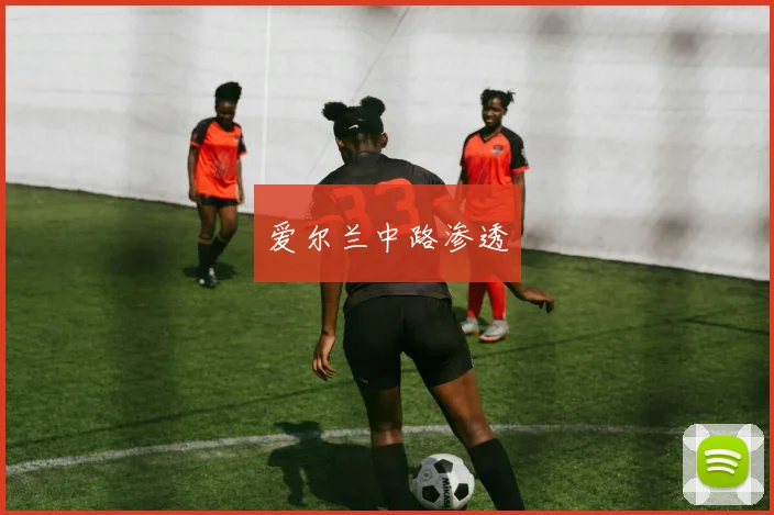 爱尔兰中路渗透