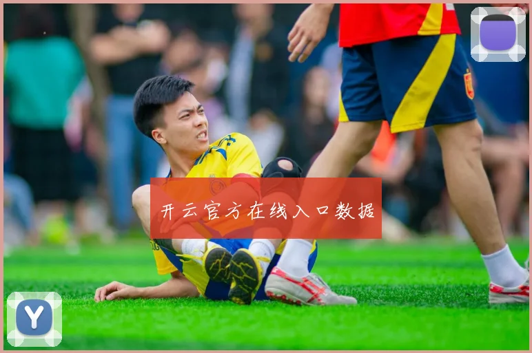 开云官方在线入口数据