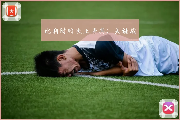 比利时对决土耳其：关键战