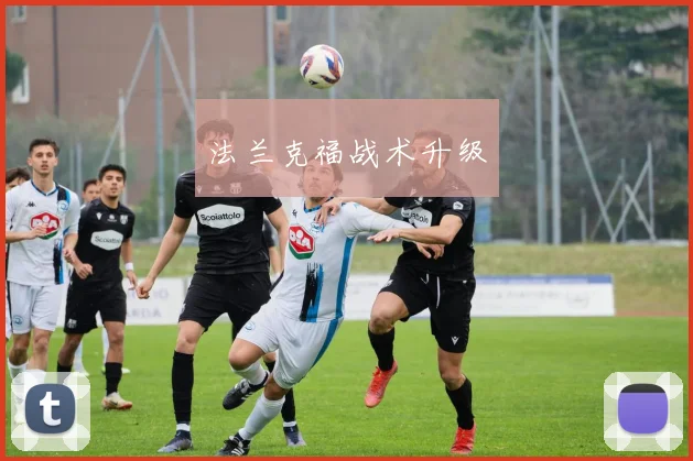 法兰克福战术升级