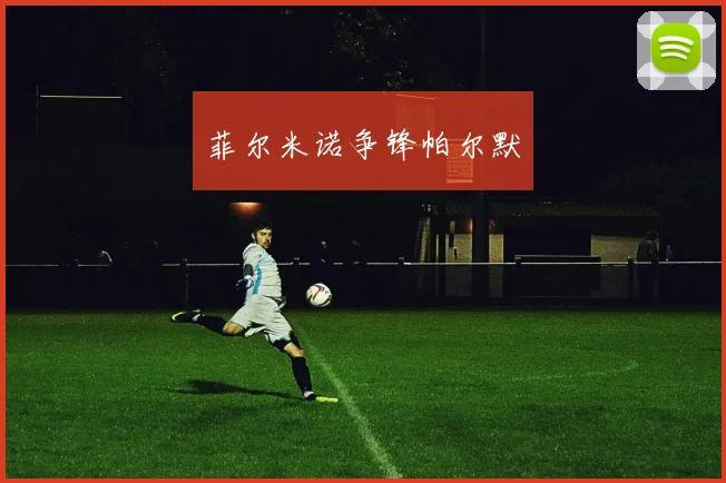 菲尔米诺争锋帕尔默
