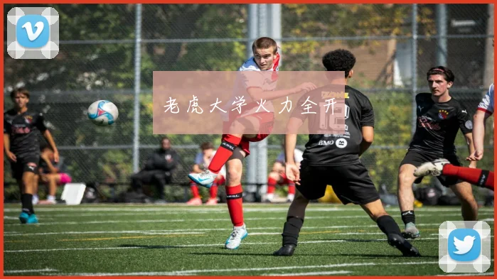 老虎大学火力全开