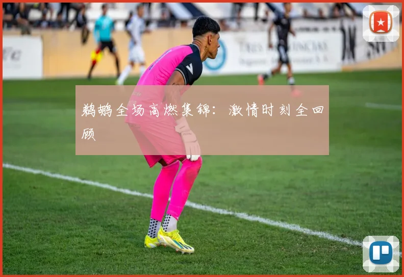 鹈鹕全场高燃集锦：激情时刻全回顾