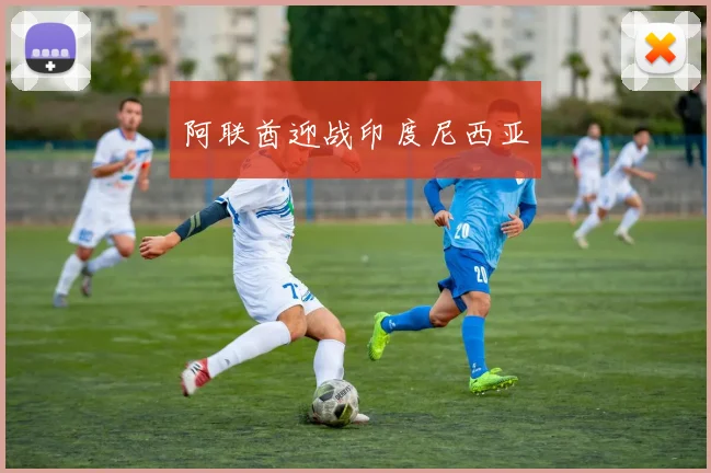 阿联酋迎战印度尼西亚