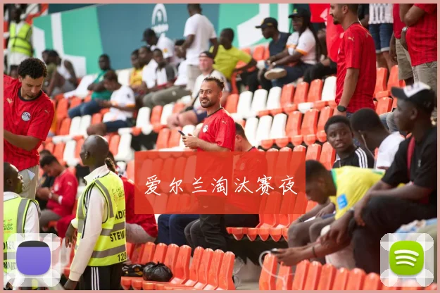 爱尔兰淘汰赛夜