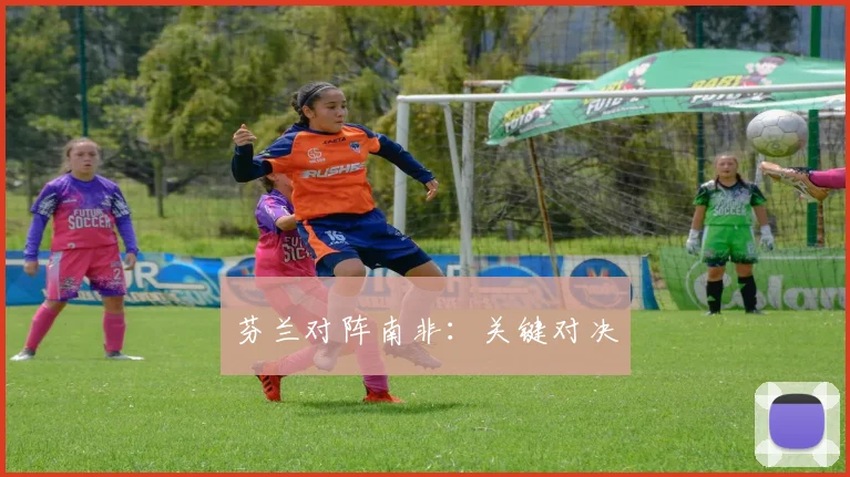 芬兰对阵南非：关键对决