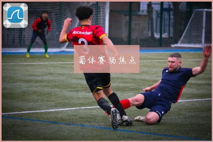 葡体赛场焦点