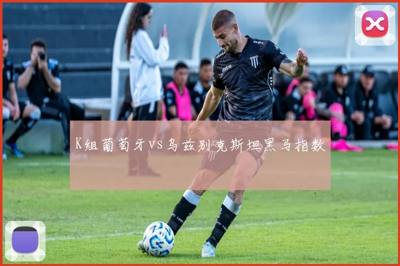 K组葡萄牙vs乌兹别克斯坦黑马指数