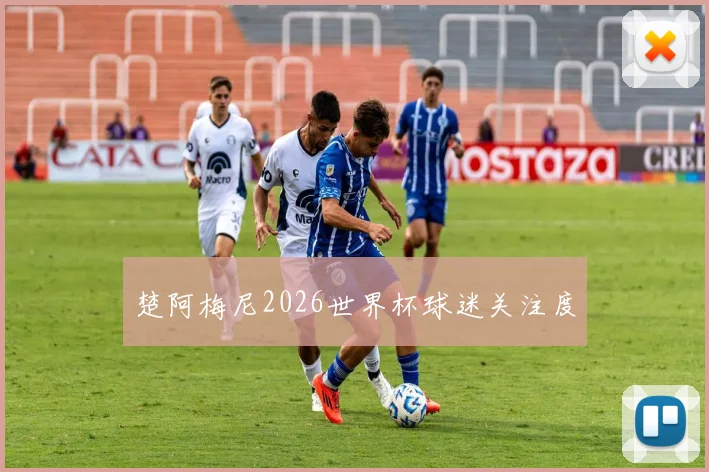 楚阿梅尼2026世界杯球迷关注度