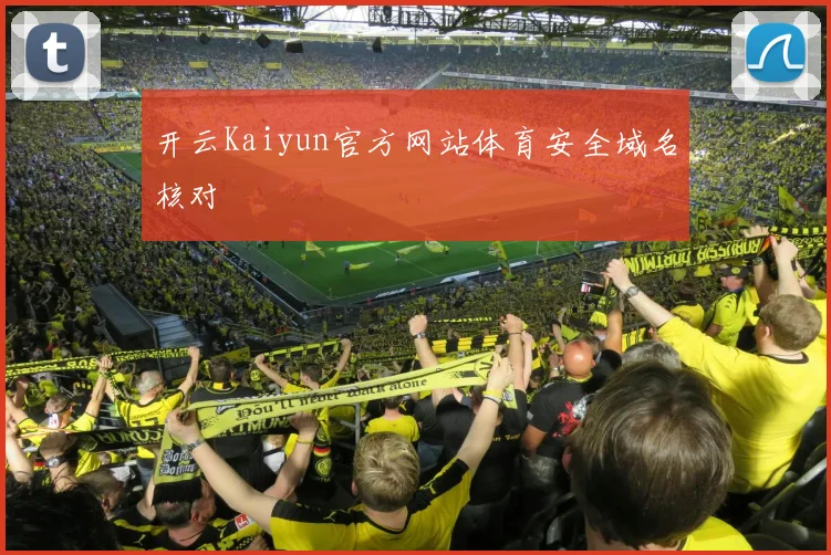 开云Kaiyun官方网站体育安全域名核对